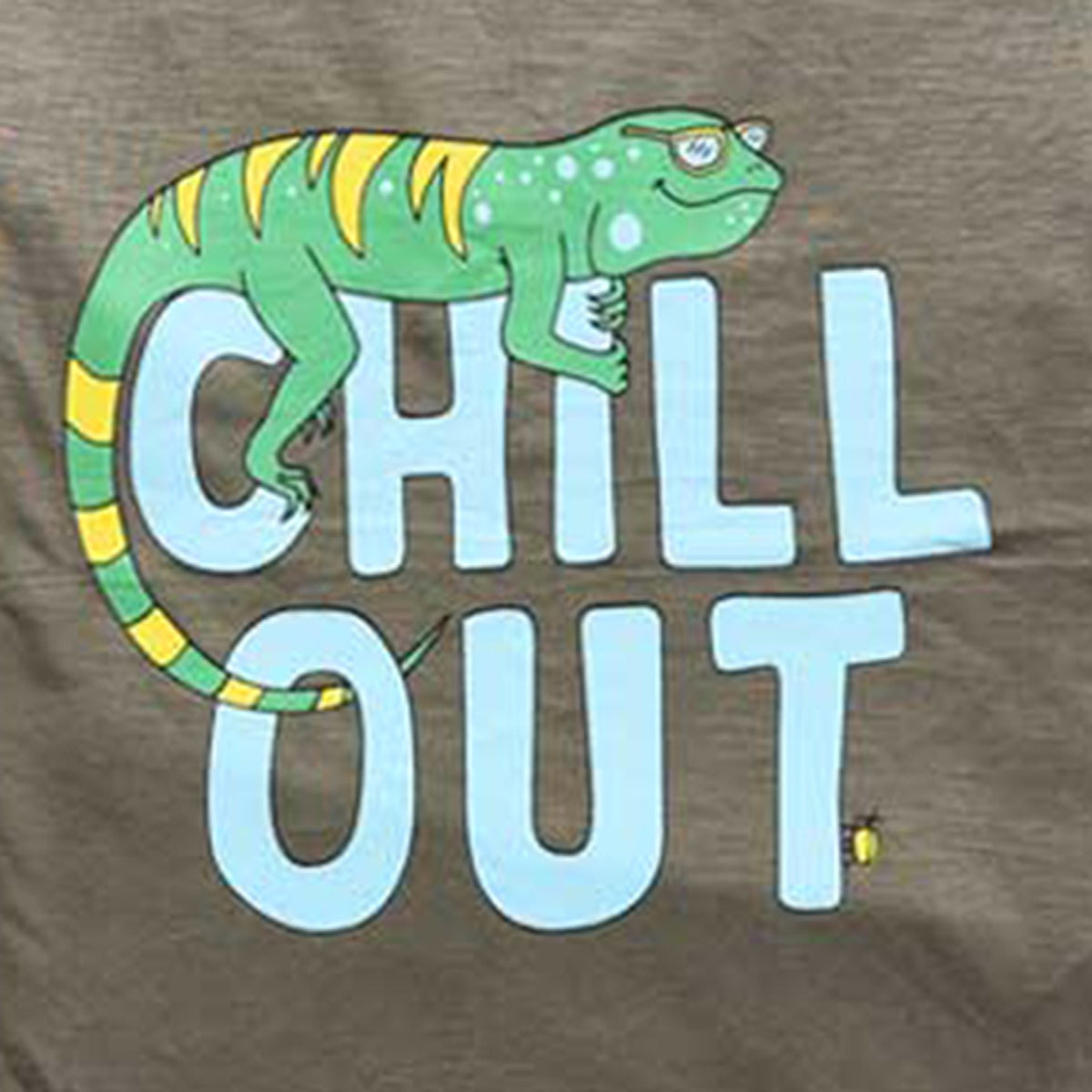 Boys Olive Green 'Chill Out' Dinosaur Graphic T-Shirt