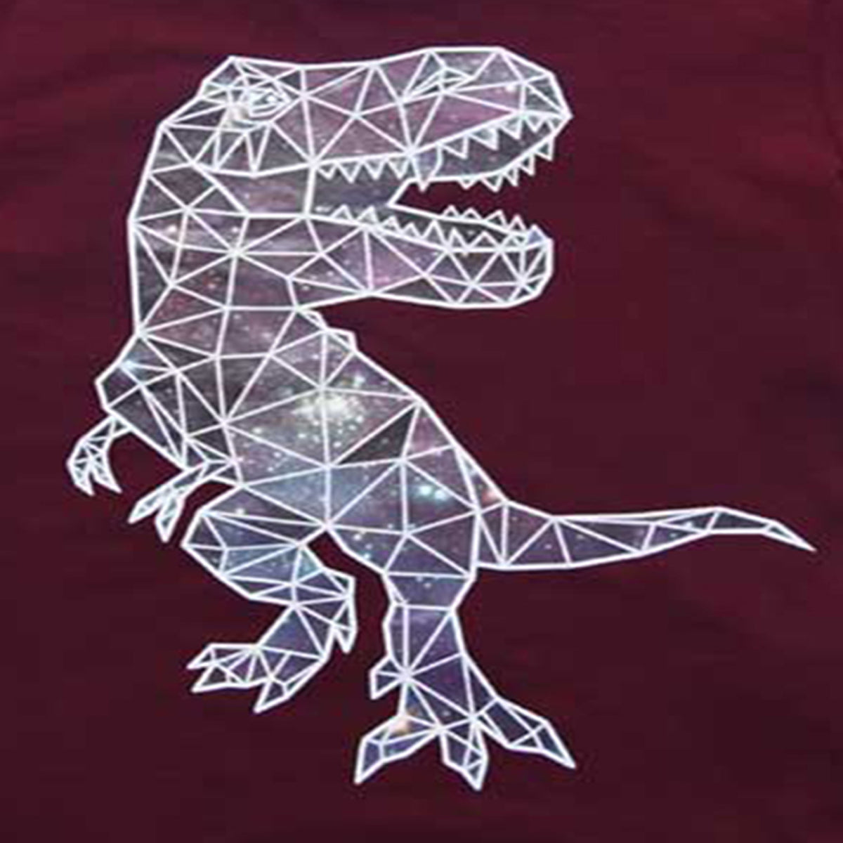 Boys Maroon T-Shirt with Geometric Dinosaur Print - Prehistoric Cool